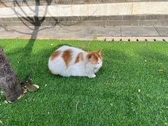 -李叔同故居纪念馆