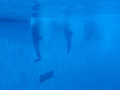 -福州罗源湾海洋世界旅游区