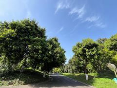 -张坝桂圆林公园