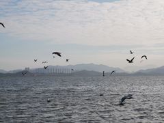 -深圳湾公园(南山区)