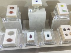 -安徽省地质博物馆