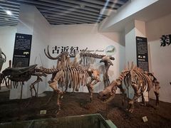 -烟台自然博物馆