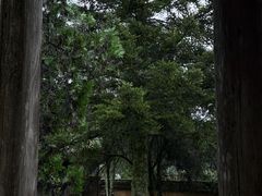 -云中大漈