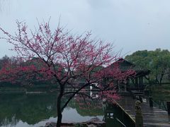 -兰亭风景区