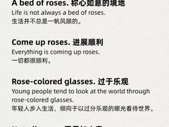 -菠萝国际教育专注Alevel·IGCSE·IB·AP·托福雅思培训辅导(静安校区)