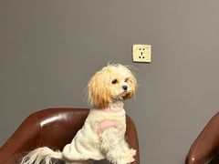 -6号玩家桌游吧(汉街店)