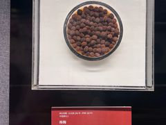 -中国港口博物馆