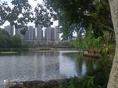 -重庆彩云湖湿地公园