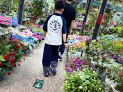 -双季花艺园艺市场(浦东店)