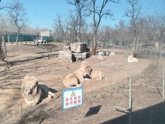-秦皇岛野生动物园