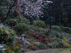 -中山公园