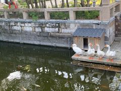 -苏州碑刻博物馆