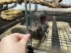 -Zoolung Zoolung动物主题公园(海信广场店)