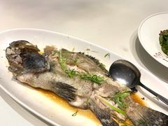 清蒸老虎斑-悦景酒家(罗湖店)