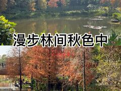 -云溪植物园