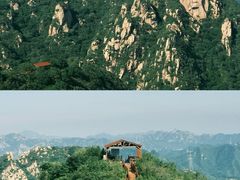 -大岭沟猕猴桃谷风景区