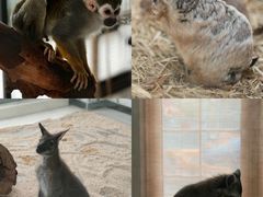 -海合安武汉极地海洋公园