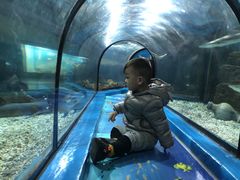 -福州罗源湾海洋世界旅游区