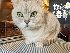 -不舍昼夜咖啡馆