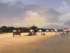 -碧海金沙