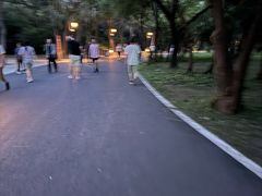 -北陵公园