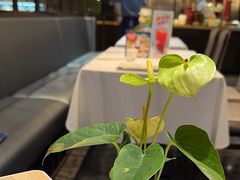 -眉州东坡(远洋未来广场店)