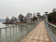 -东湖落雁景区