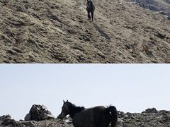 -灵山