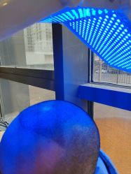 -碧莲盛·不剃发植发