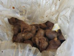 -王记西鎮电烤肉(汶上路店)