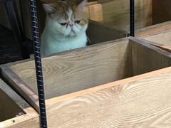 -ZM COFFEE(西安路店)