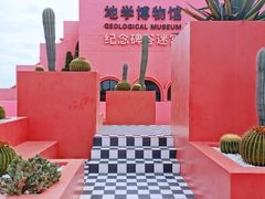 -漳州滨海火山岛自然生态风景区