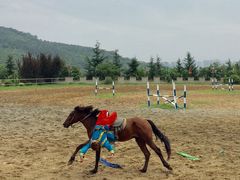 -威海华夏城景区