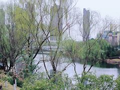 -洋湖国家湿地公园