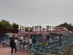 -西青郊野公园
