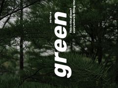 -尚贤河湿地