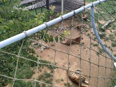 -西霞口神雕山野生动物世界