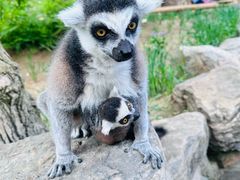 -北京野生动物园