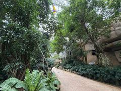 -南山植物园
