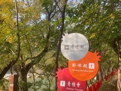 -青檀寺景区