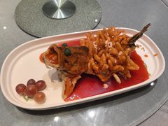 松鼠桂鱼-松鹤楼(狮山永利广场店)