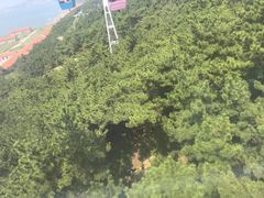 -摩天岭风景区