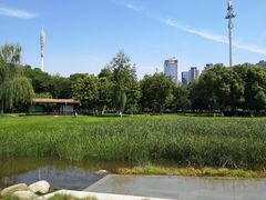 -后襄河公园