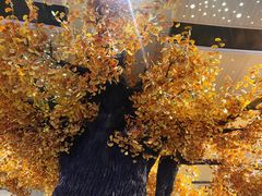 -青水瓦台汤泉(未央店)