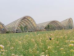 -中国天府农业博览园