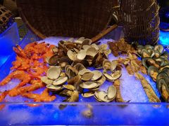 -OPEN開全日自助餐厅·牛肉火锅·海鲜(佛山希尔顿酒店)