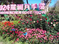 -人民公园(罗湖区)