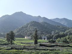 -听风阁农家私房菜茶楼(龙坞店)