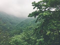 -李冰陵园