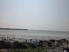 -青岛第二海水浴场